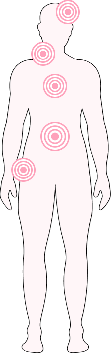 the key areas targeted by a full body scan
